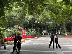 -忠山公园