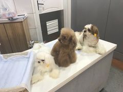 -百盛(莘庄店)