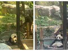 -广州长隆野生动物世界