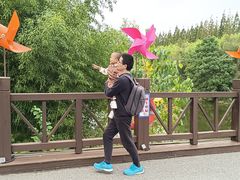 -黄海国家森林公园