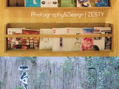 大堂-柴务处·柴犬主题狗咖