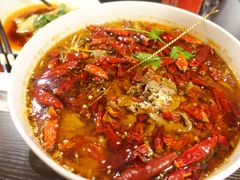 -熊猫川菜馆 panda chine