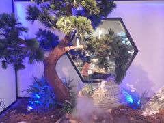 -绿茶餐厅(成都大悦城店)