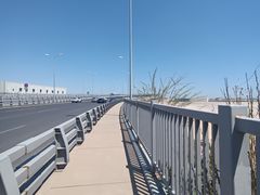 -星海湾跨海大桥
