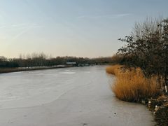 -大兴滨河森林公园