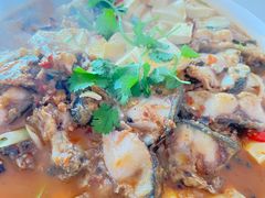 -煲来饱去冷水鱼