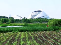 -哈尔滨大剧院