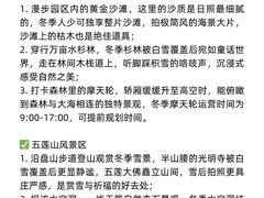 -日照灯塔风景区