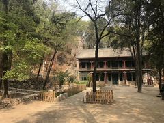 -北京鹫峰国家森林公园