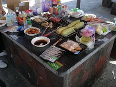 -春花秋色城市公园