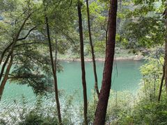 -广州市流溪河国家森林公园