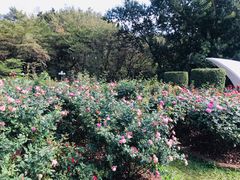 -人民公园(罗湖区)