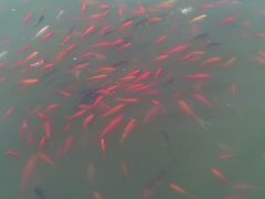 景点-海河外滩公园