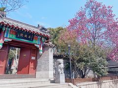 -湛山寺