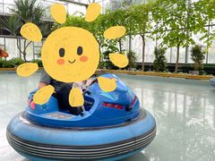 -南宫五洲植物乐园