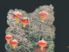-香山公园