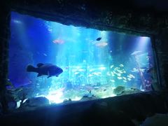 -沈阳海洋探索中心