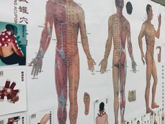 -孟氏拔罐(纬一路店)