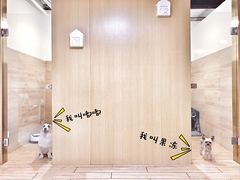 狗狗寄养房间-Double Rui宠物酒店