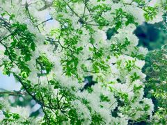 -国家植物园南园