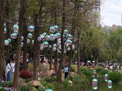 -人民公园(罗湖区)