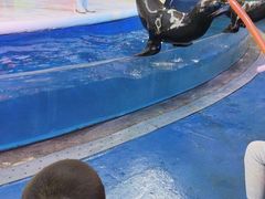 -成都浩海立方海洋公园