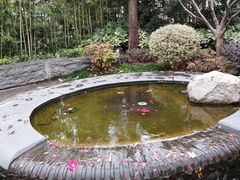 -曹杨影城(曹杨店)