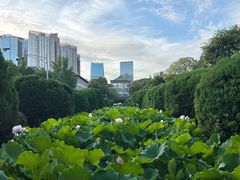 -四川大学(望江校区)