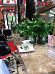 点击看大图 -永琪美容美发全国直营连锁