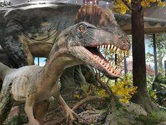 -湖南省地质博物馆