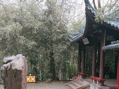 -赭山公园