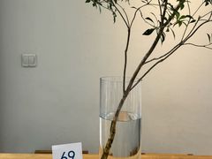 -VOYAGE COFFEE(杨梅竹店)