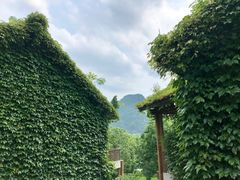 -广悦华阳朔河畔度假酒店(十里画廊遇龙河店)
