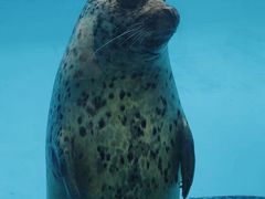 -珠海长隆海洋王国