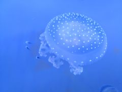 -常州海昌海洋探索馆