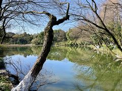 -八卦田遗址公园