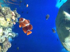 罗源湾海洋世界-福州罗源湾海洋世界旅游区