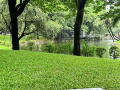 -晓港公园