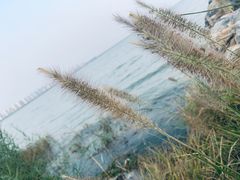 -天津东丽湖风景区