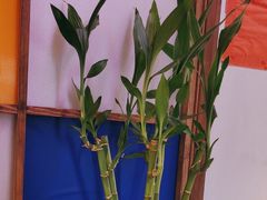 -川正旺江湖菜(三元桥店)