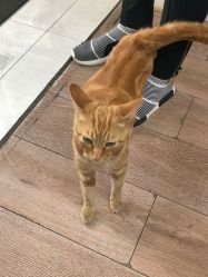 -EasyLady美甲沙龙