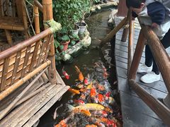 -上海大自然野生昆虫馆(东方明珠·爬宠昆虫探索中心)