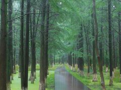 -艾溪湖湿地公园