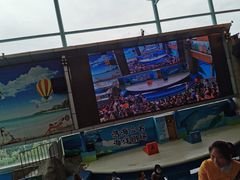 -成都浩海立方海洋公园