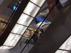 -丹尼斯7天地