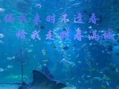 -常州海昌海洋探索馆