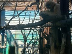 -昆明动物园