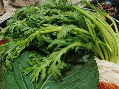 -真利味·脊骨火锅·正宗韩国料理(韩乐坊店)