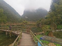 -靖西鹅泉风景区