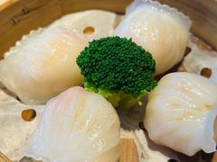-悦景酒家(罗湖店)